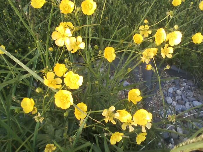 [Thumbnail for 0527172021-02.jpg]