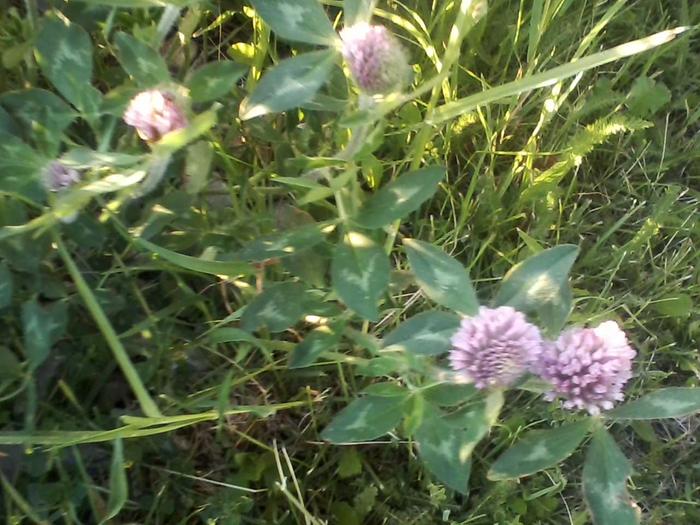 [Thumbnail for 0527172021-03.jpg]