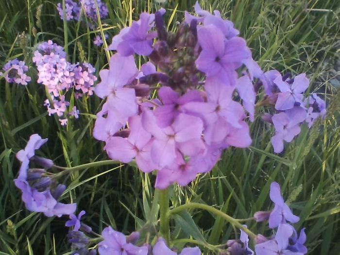 [Thumbnail for 0527172020-05.jpg]