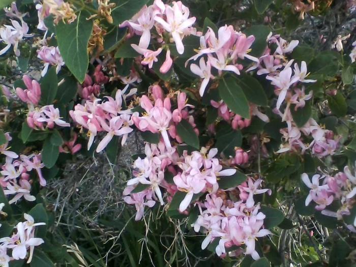 [Thumbnail for 0527172032-02.jpg]