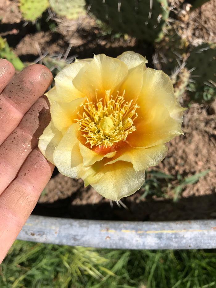 [Thumbnail for 2017-06-15-015.JPG]