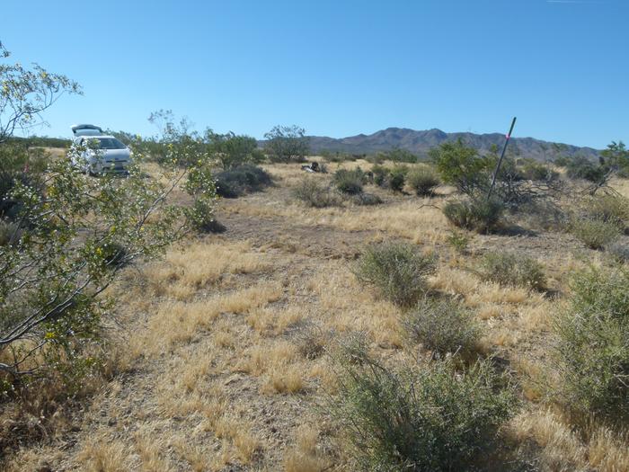 [Thumbnail for AZ-Property_homesiteL1030007.JPG]