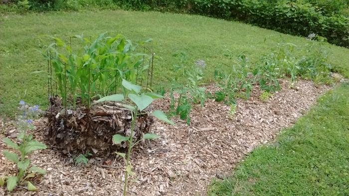 [Thumbnail for IMG_20170630_135645051.jpg]