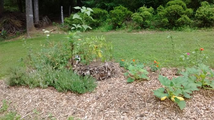 [Thumbnail for IMG_20170630_135621515.jpg]