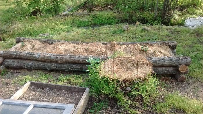 [Thumbnail for IMG_20170429_175620795.jpg]