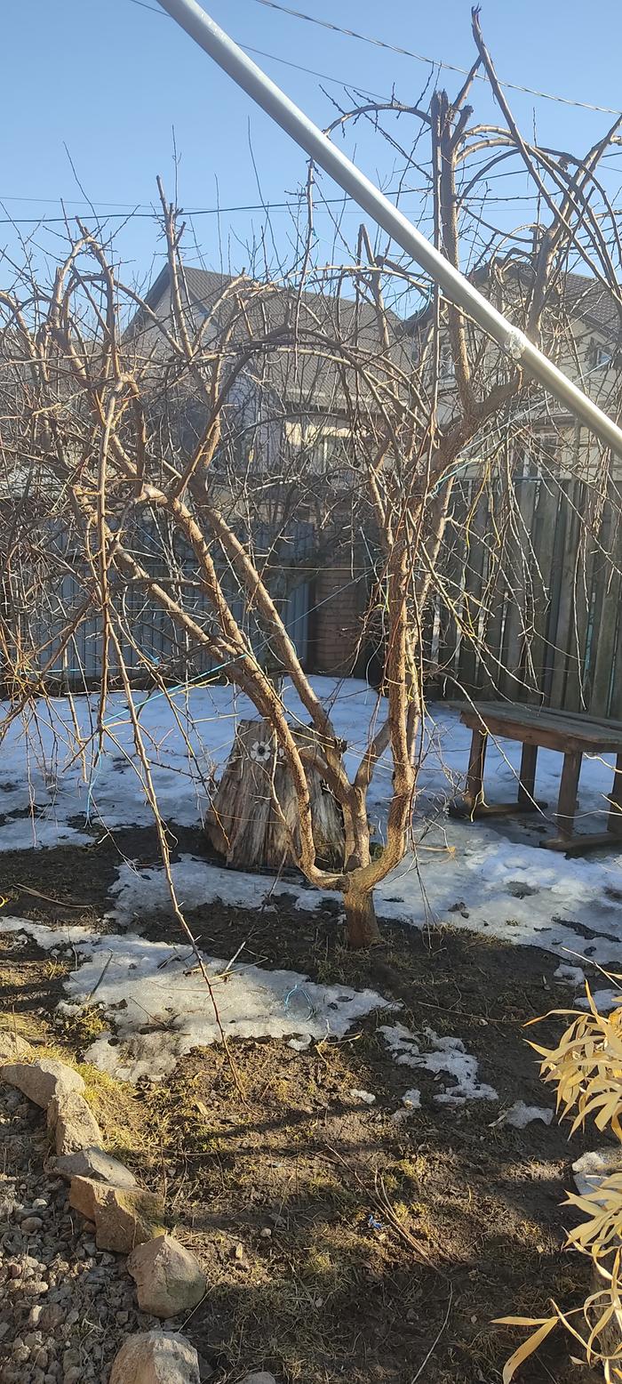 [Thumbnail for IMG_20260309_152132.jpg]