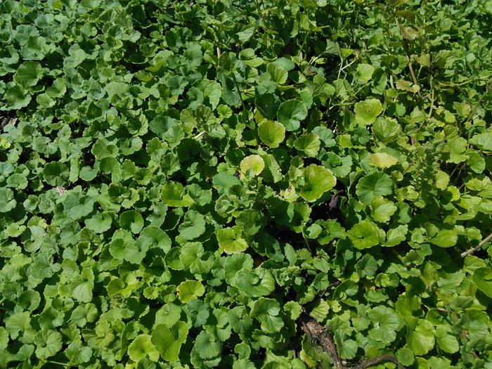 [Thumbnail for IMG_20170710_143702.jpg]