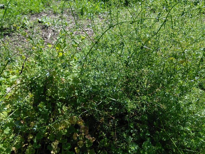 [Thumbnail for IMG_20170710_143611.jpg]