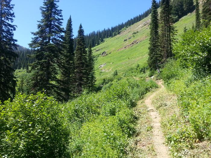 [Thumbnail for Cliff-Lake_Trail.jpg]
