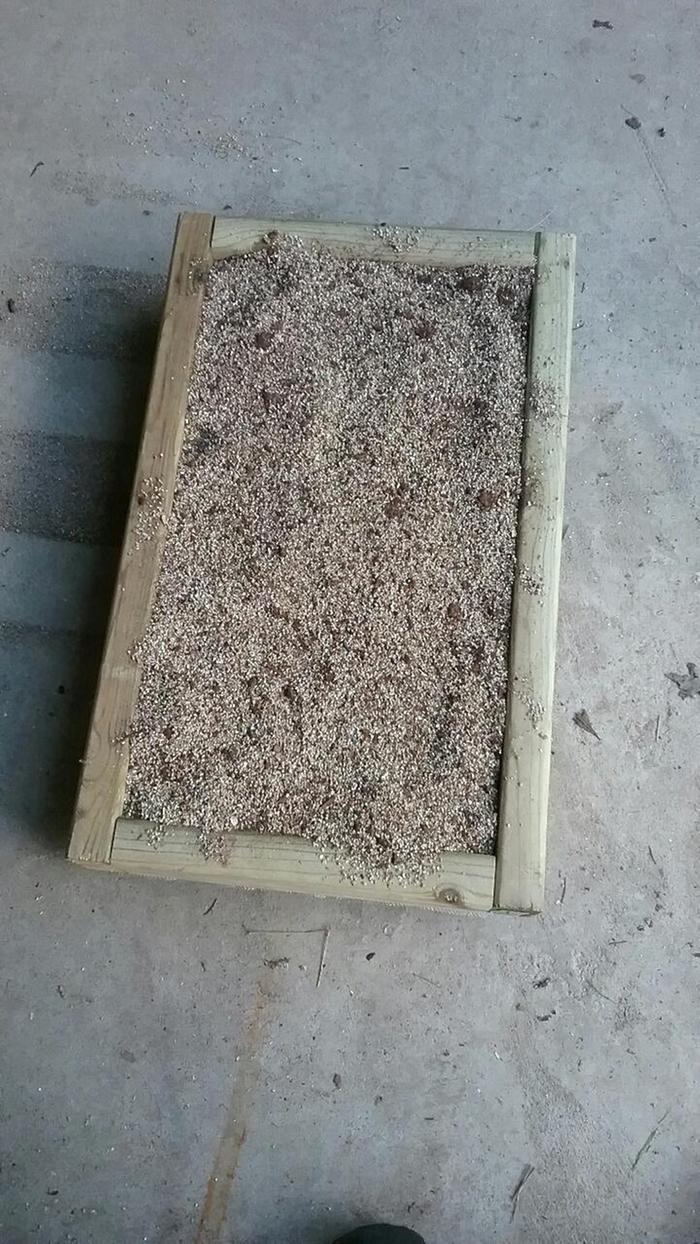 Growing box filled with sand