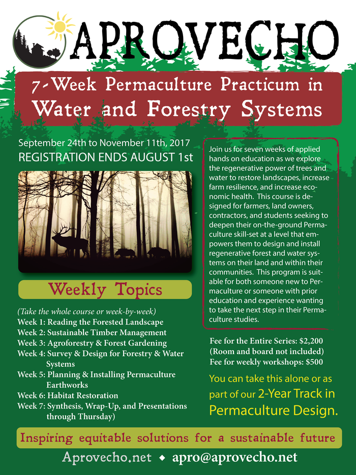 [Thumbnail for PracticumFlyer2017-01.png]