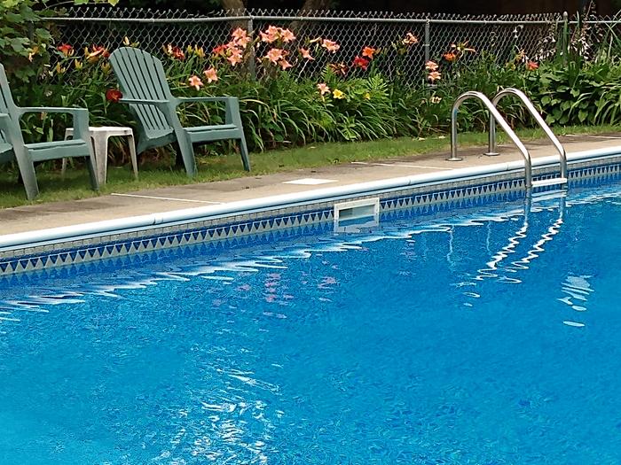 [Thumbnail for west-side-of-pool-showing-mainly-daylilies-past-grapes.jpg]