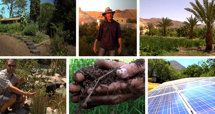 geoff lawton, california, abundance on dry land documentary