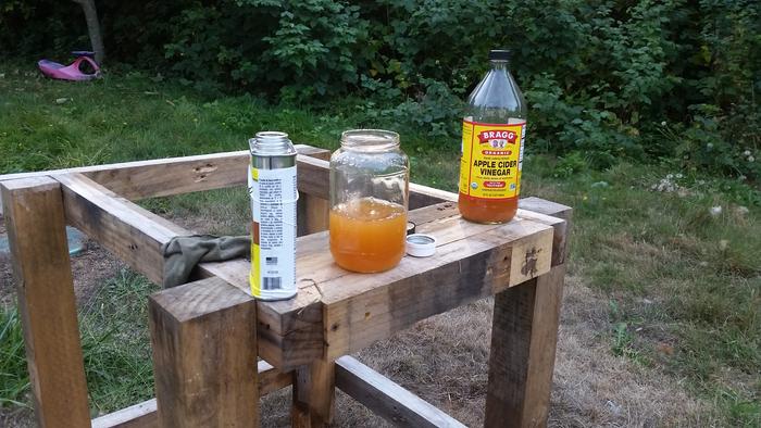 making vinegar and linseed oil sealent