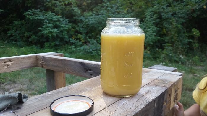 DIY apple cider vinegar and linseed oil sealent