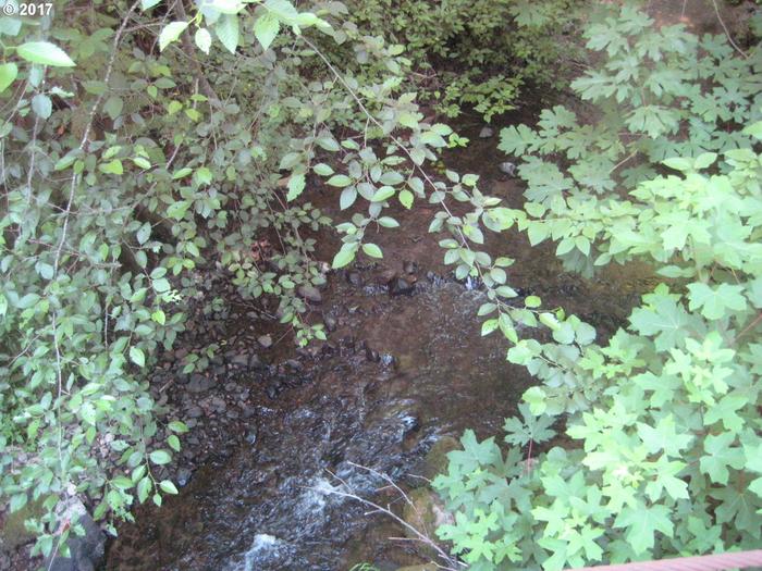 Stream running through the property