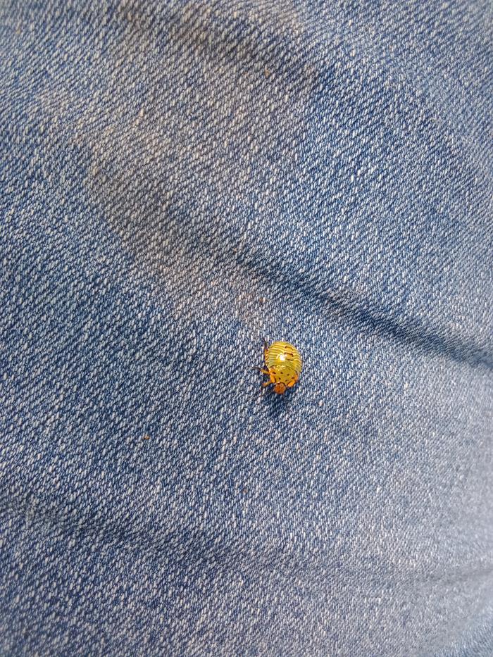 [Thumbnail for IMG_20250819_141756967.jpg]