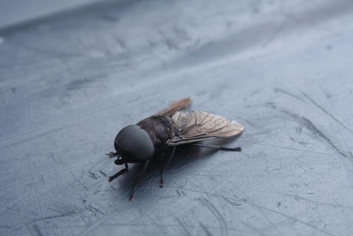 [Thumbnail for IMG_1082.JPG]