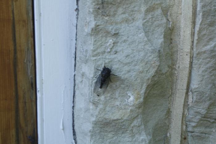 [Thumbnail for IMG_0692.JPG]