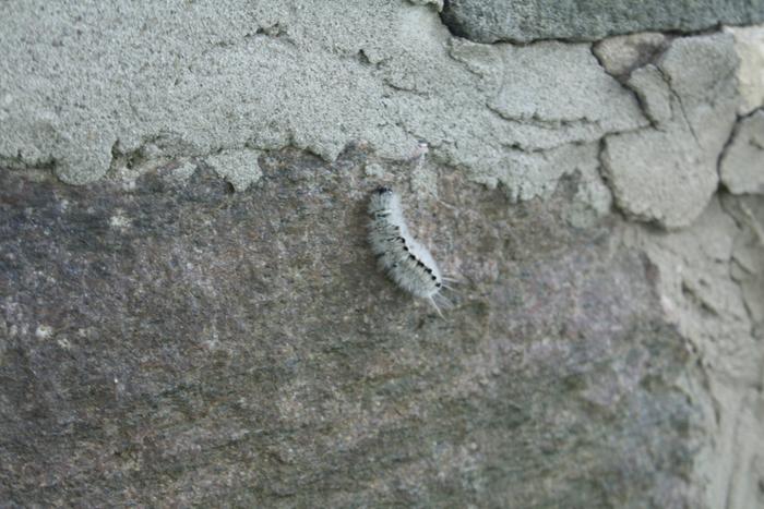 [Thumbnail for IMG_0679.JPG]