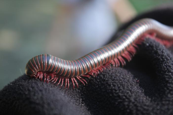 [Thumbnail for IMG_9804.JPG]