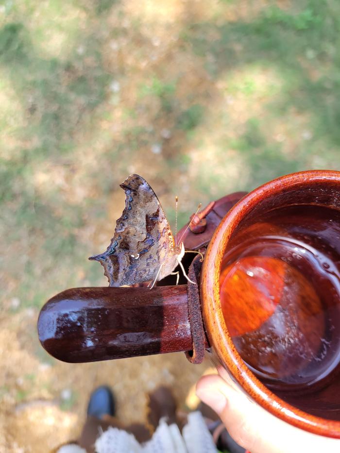 [Thumbnail for 20240526_123554.jpg]