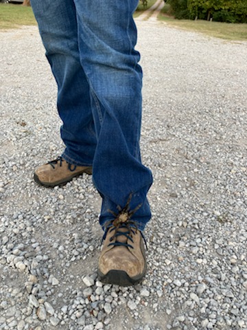 [Thumbnail for IMG_6557.jpg]