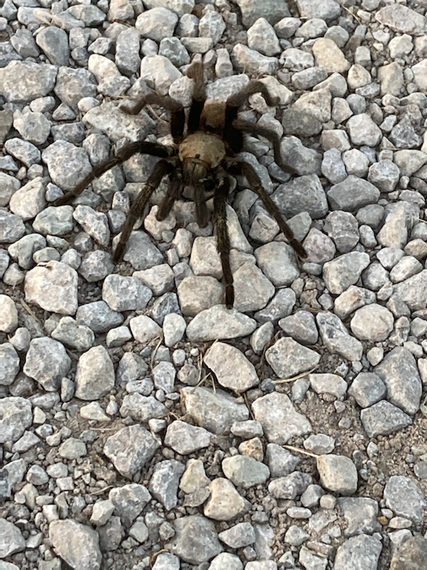 [Thumbnail for IMG_6556-(1).jpg]