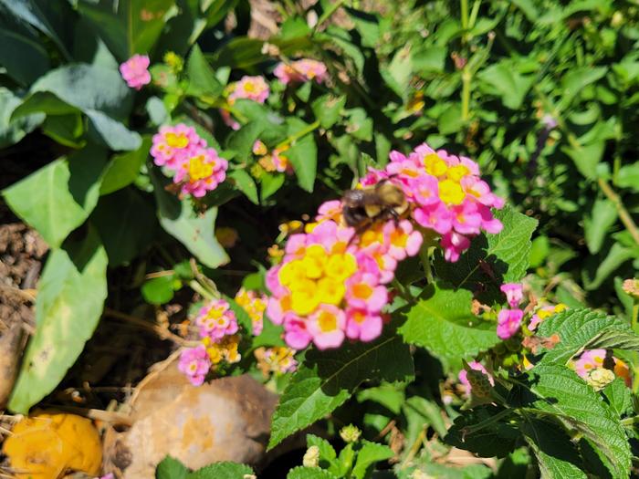 [Thumbnail for 20231005_115937.jpg]