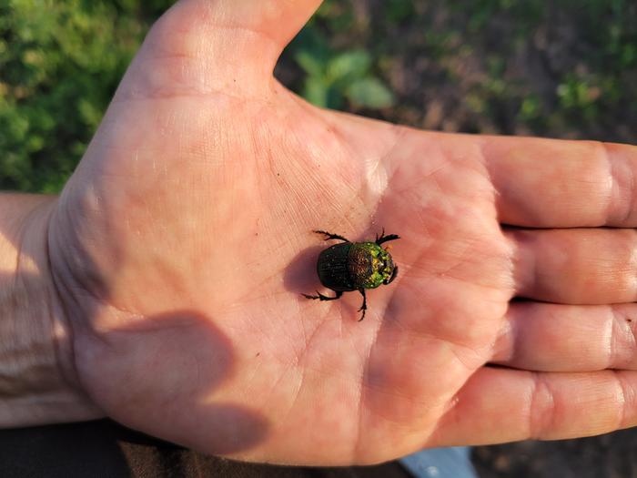 [Thumbnail for 20240604_192208.jpg]