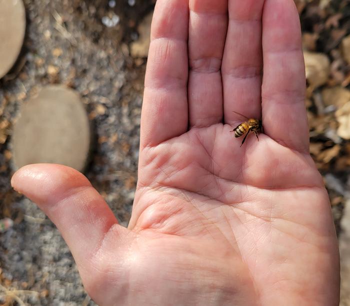 [Thumbnail for 20250202_155257.jpg]