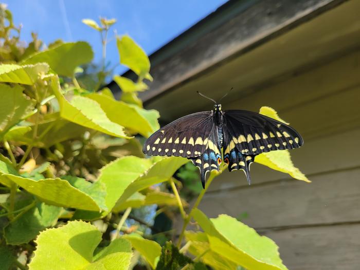 [Thumbnail for 20230718_095330.jpg]