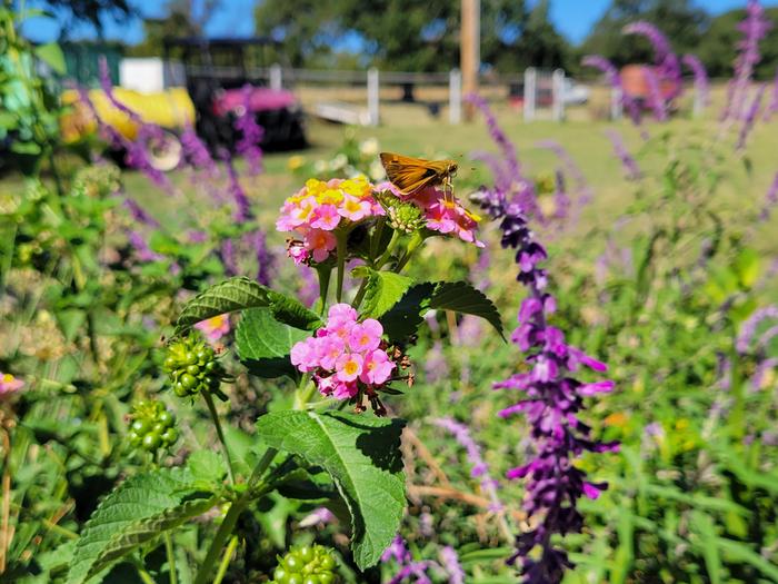 [Thumbnail for 20231005_115745.jpg]