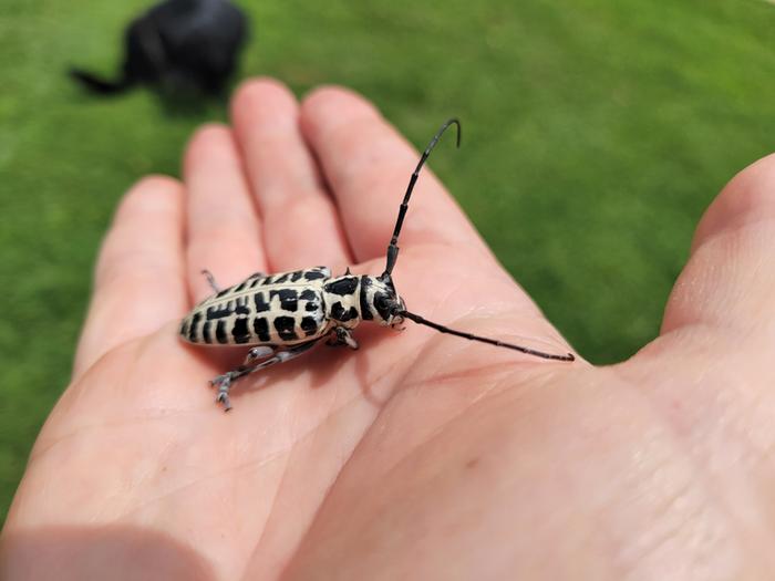 [Thumbnail for 20240705_133907.jpg]