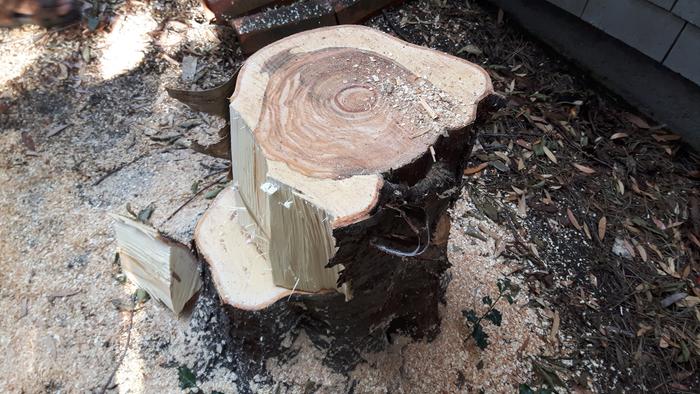 Used it as a splitting block first. I often do this, when wood is cut in a spot where it can sit all summer. That way it only weighs half as much, when you have to lift it.