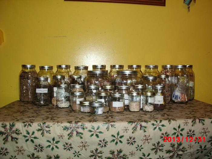 reusable seed storage containers