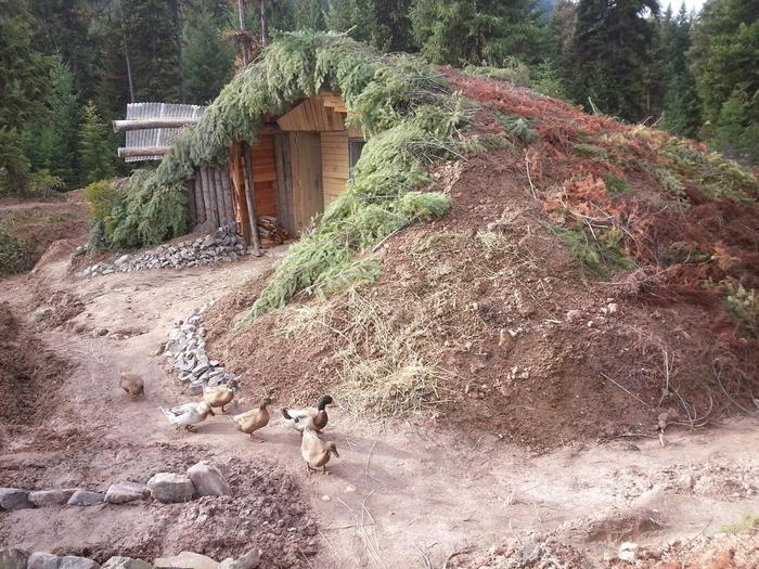 earth-sheltered tiny house, ducks not included