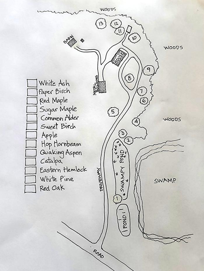 Tree Map
