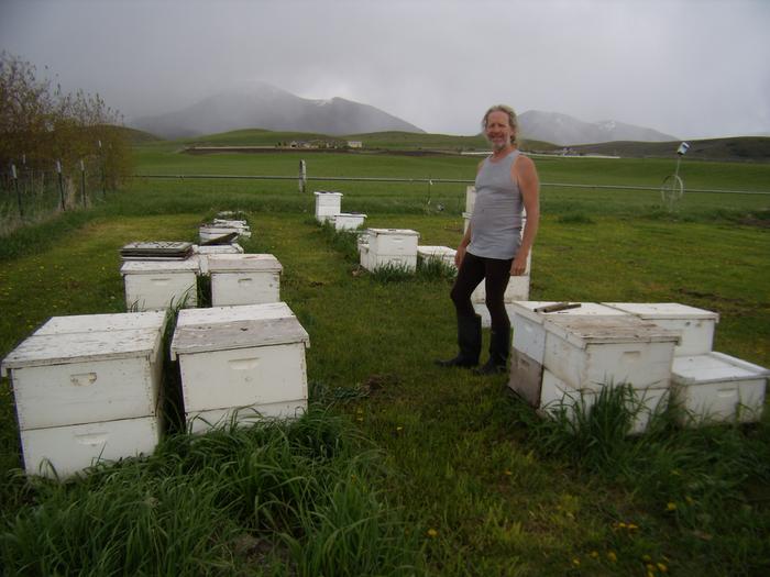 [Thumbnail for joseph-lofthouse-apiary.jpg]