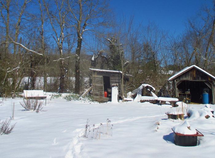 snow cover a few days ago garden to the left