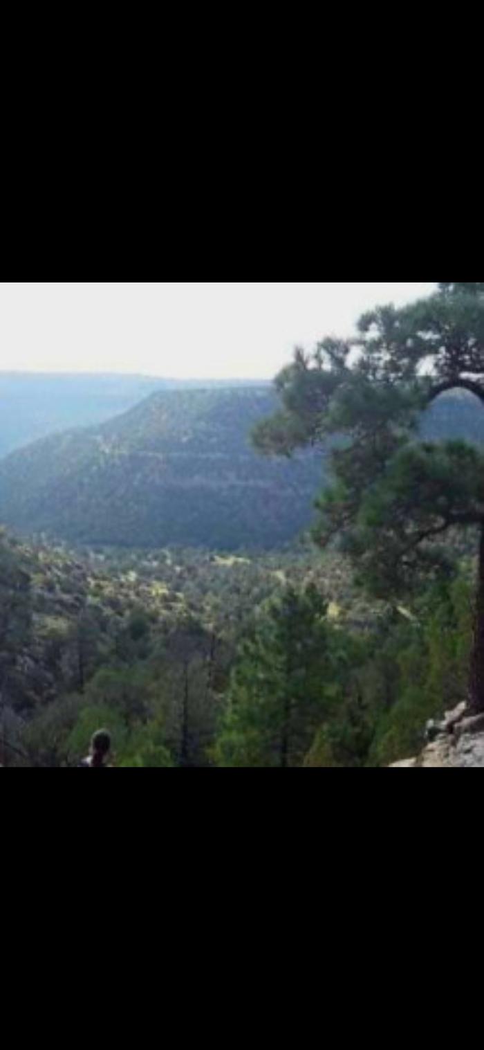 [Thumbnail for Screenshot_20251105_155827_Gallery.jpg]