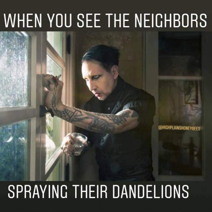 [Thumbnail for dandelions-spraying.jpg]