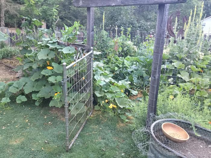 garden gate