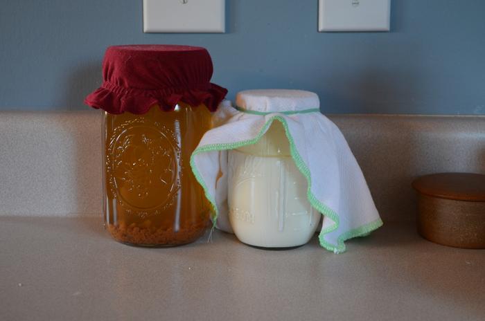 now I'm fermenting milk and sugar water making kefir