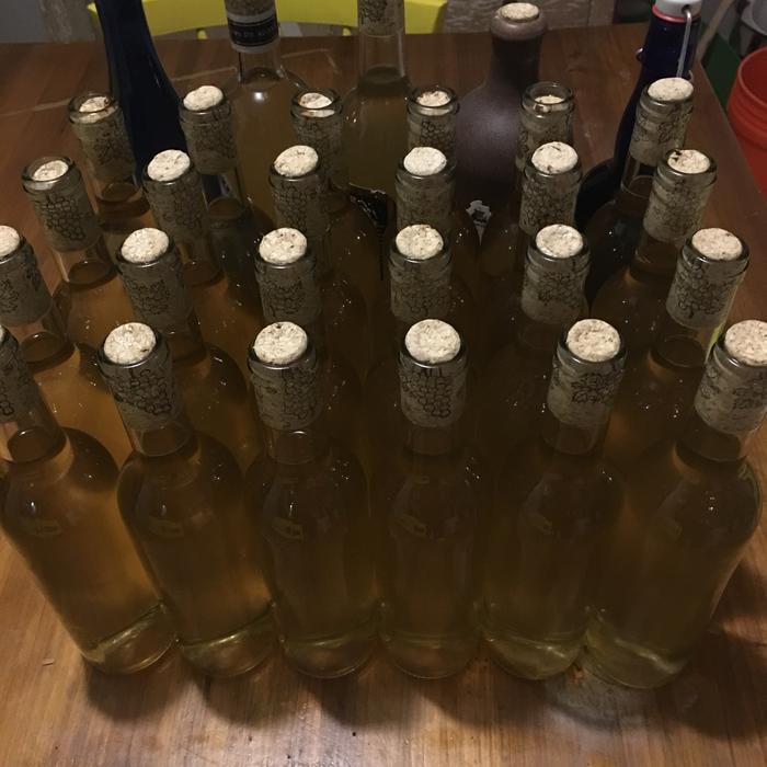 My first Mead that I will share with friends and family