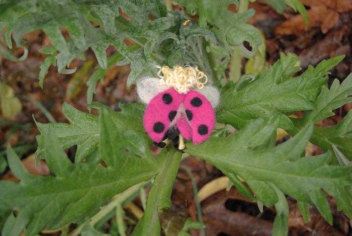 ladybug fairy wings