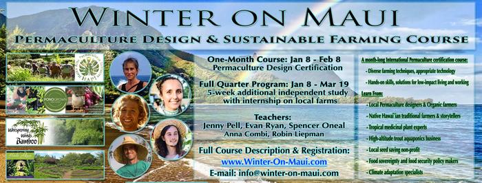 [Thumbnail for winteronmauicoverfb.jpg]