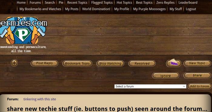 [Thumbnail for Capture3.JPG]