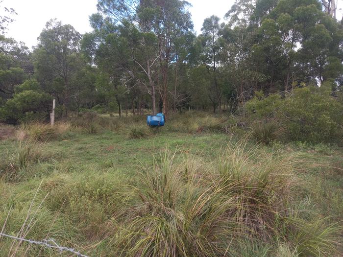 [Thumbnail for 20260304_093411.jpg]