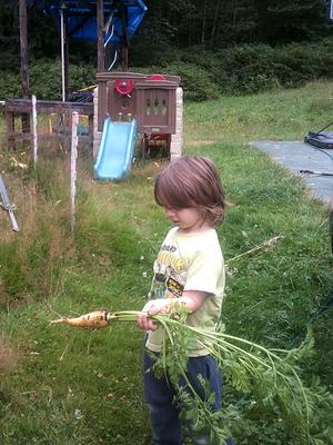 child with Lofthouse Landrace Carrot